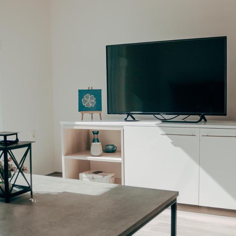 Villa Hodžić - One-Bedroom Apartment - 32