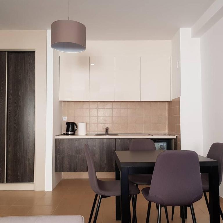 Apartman Ibarstar - Apartman sa 1 Spavaćom Sobom - 9