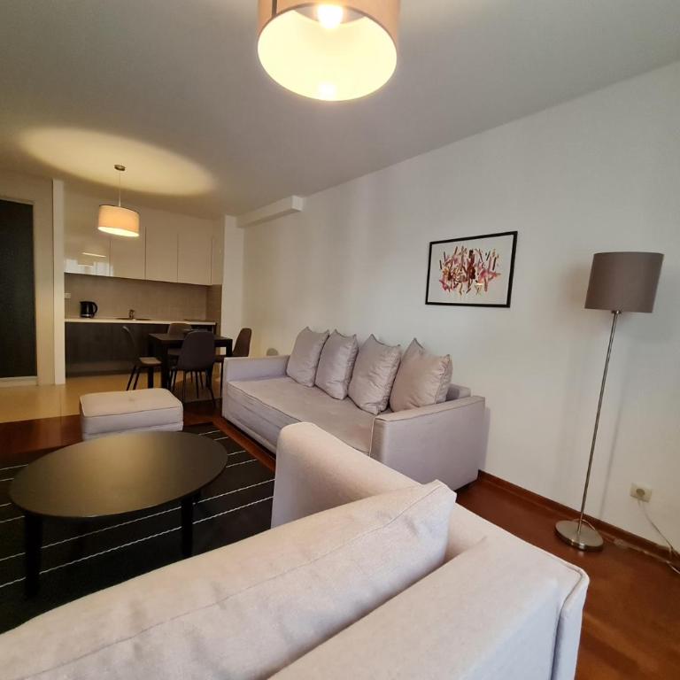 Apartman Ibarstar - Apartman sa 1 Spavaćom Sobom - 3