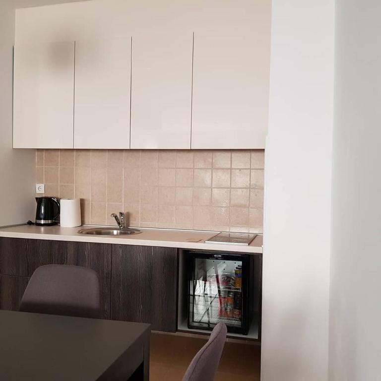 Apartman Ibarstar - Apartman sa 1 Spavaćom Sobom - 12