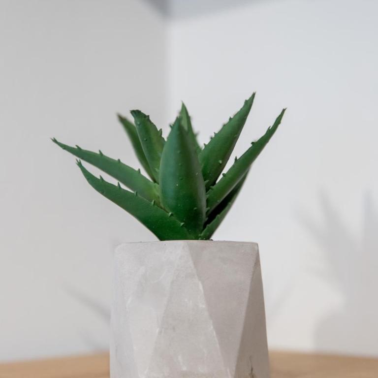 Apartment Studio Milena - Deluxe Double Studio - 40