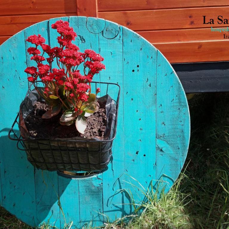 La Sarita, Hospedaje rural. - Chalet de 2 dormitorios - 13