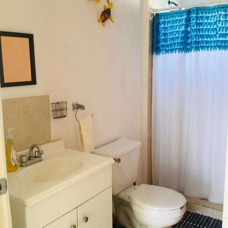 Casa Flores - Casa - 18