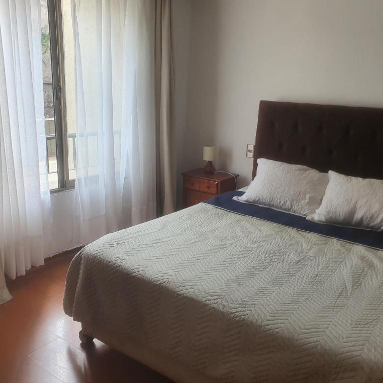Barrio Lastarria, Departamento 2 ambientes - Apartment - 26