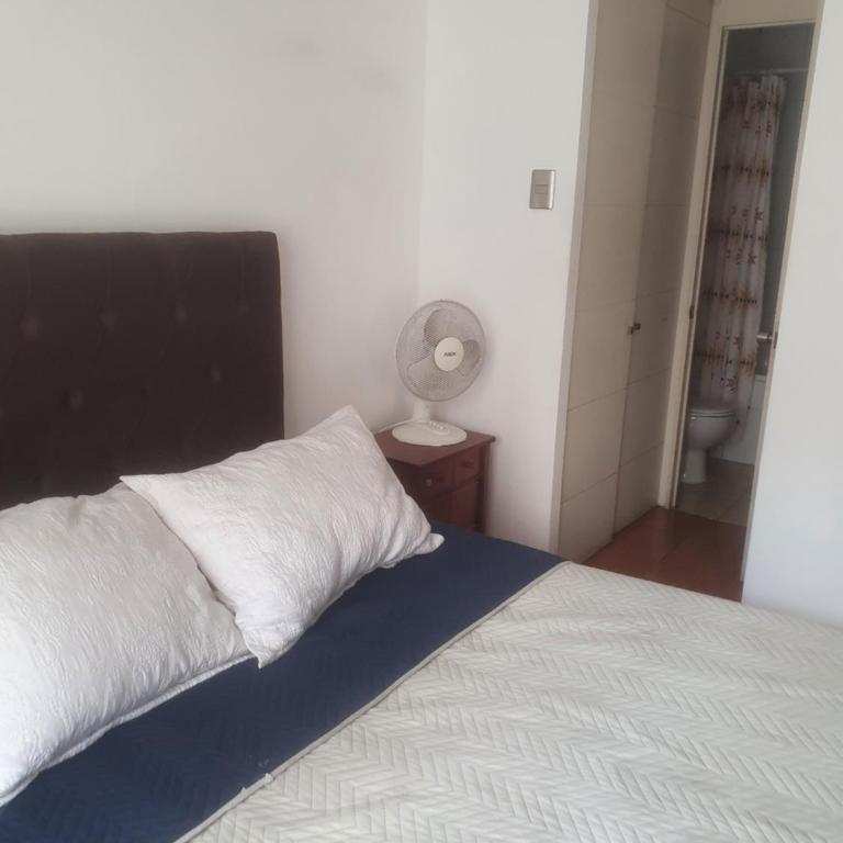 Barrio Lastarria, Departamento 2 ambientes - Apartment - 25