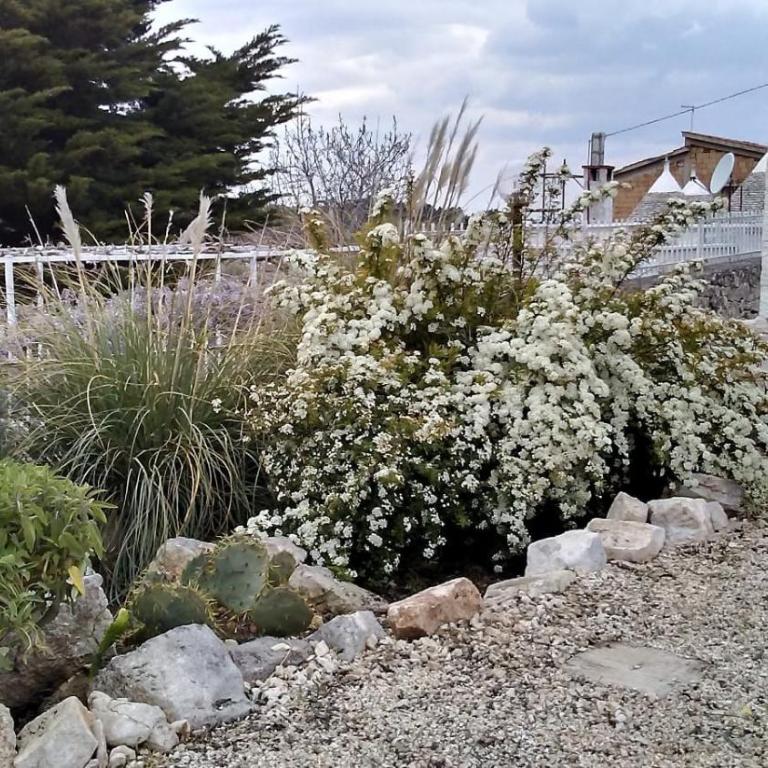 TRULLI COLIBRI' - Casa Vacanze - 13