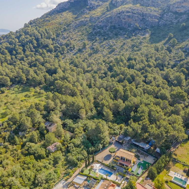 Villa Can Prim - Villa con piscina privada - 9