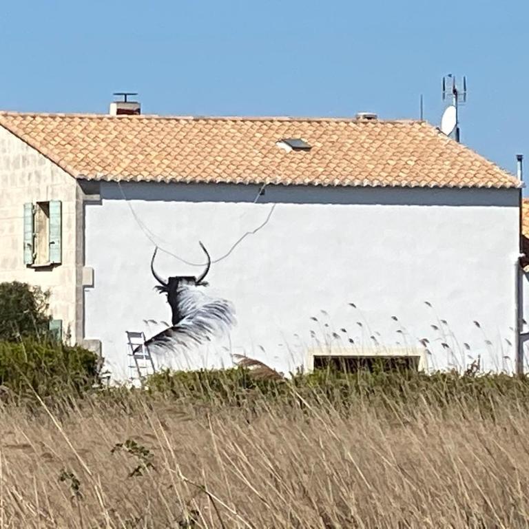Gîtes Equestres Lou Caloun - Les Saintes Maries de la Mer - Haus mit 1 Schlafzimmer - 47