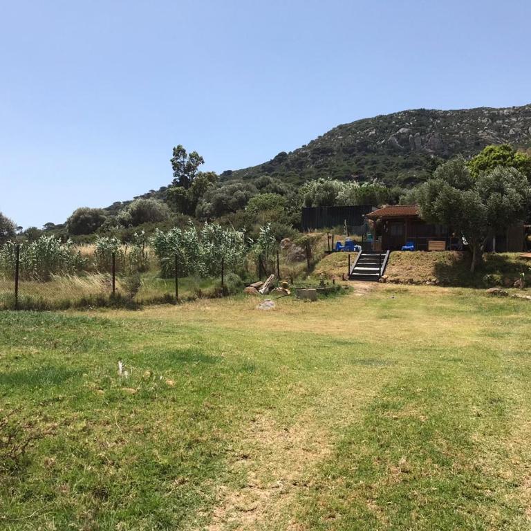 Rustic Cabin Tarifa 4 guests 5 minutes to beach - Apartamento - 10