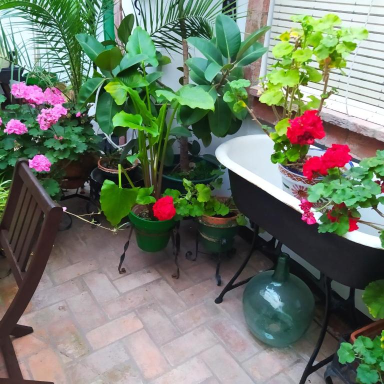 Casa Museo Jerez Centro - Apartamento de 1 dormitorio - 50