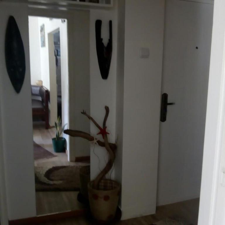 Sokobanja Apartmani - Apartman - Prizemlje - 10