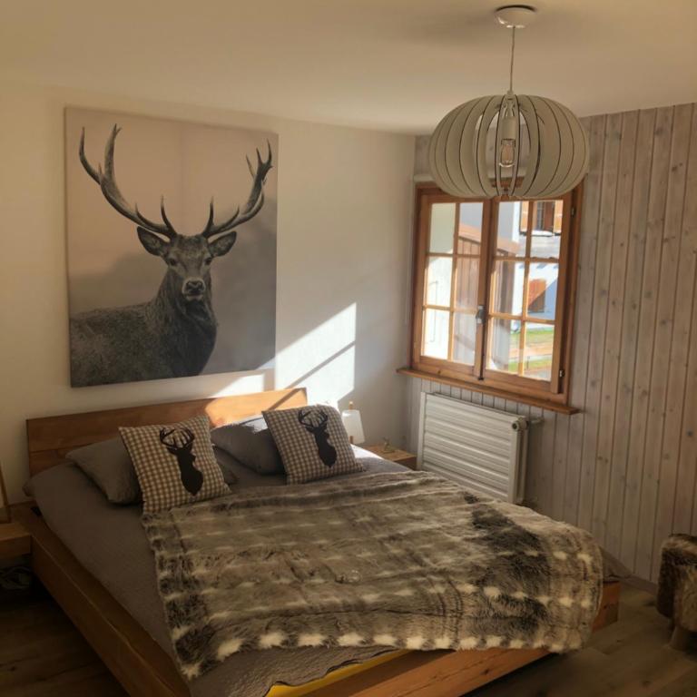 Le Cerf, magnifique studio avec jardin-terrasse et garage - Studio with Terrace - 1