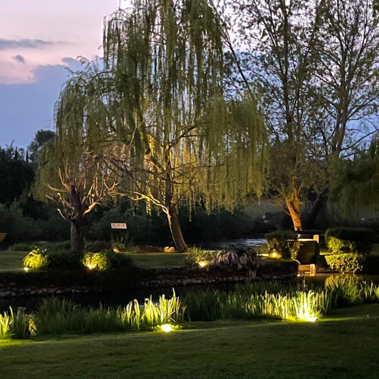 La Finestra sul Fiume - Camera Matrimoniale King con Vista Giardino - 2