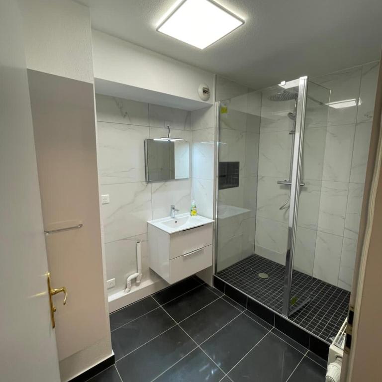 Sion City Mulhouse centre - parking et balcon-wifi 5G gratuit - Apartamento Deluxe - 11