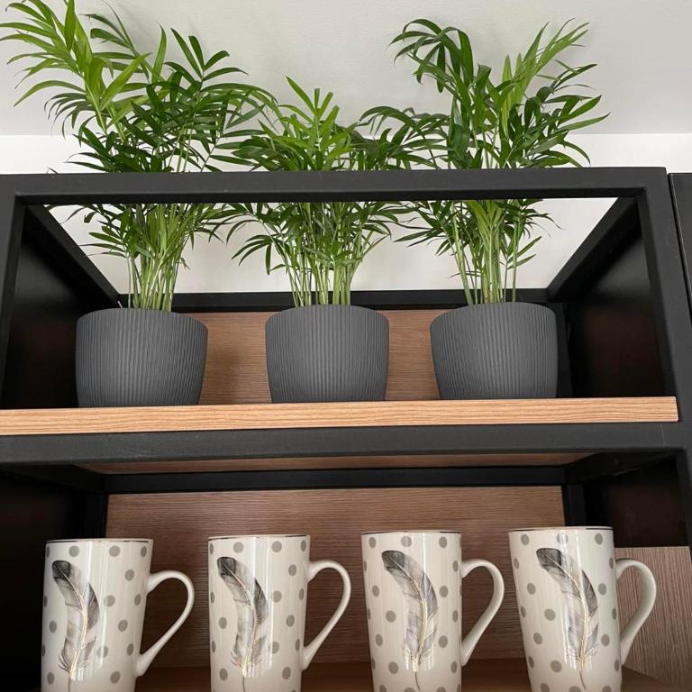 Blue berry apart - Apartman sa 1 Spavaćom Sobom - 21