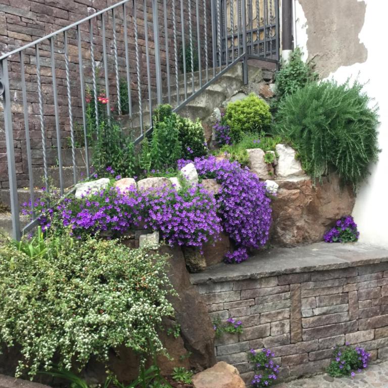Cuore nel Muller - Appartamento con Vista Giardino - 4