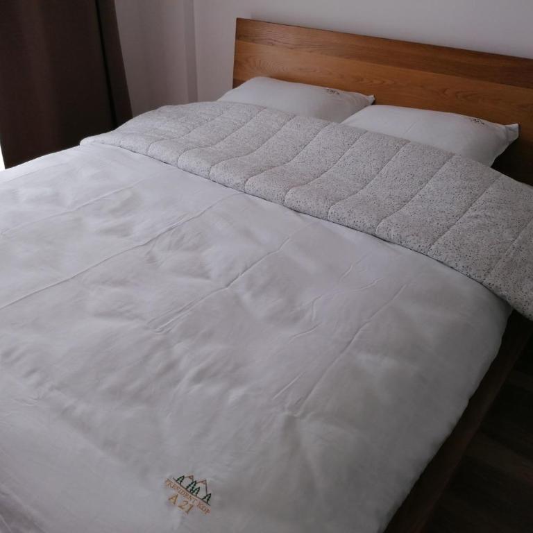 President Kop - Apartman A21 - Apartman sa Terasom - 15