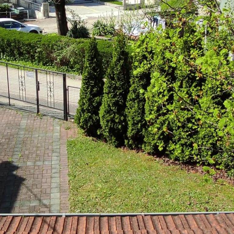 Duplex Mihajlović-Vrnjačka Banja - Apartman sa 2 Spavaće Sobe - 18