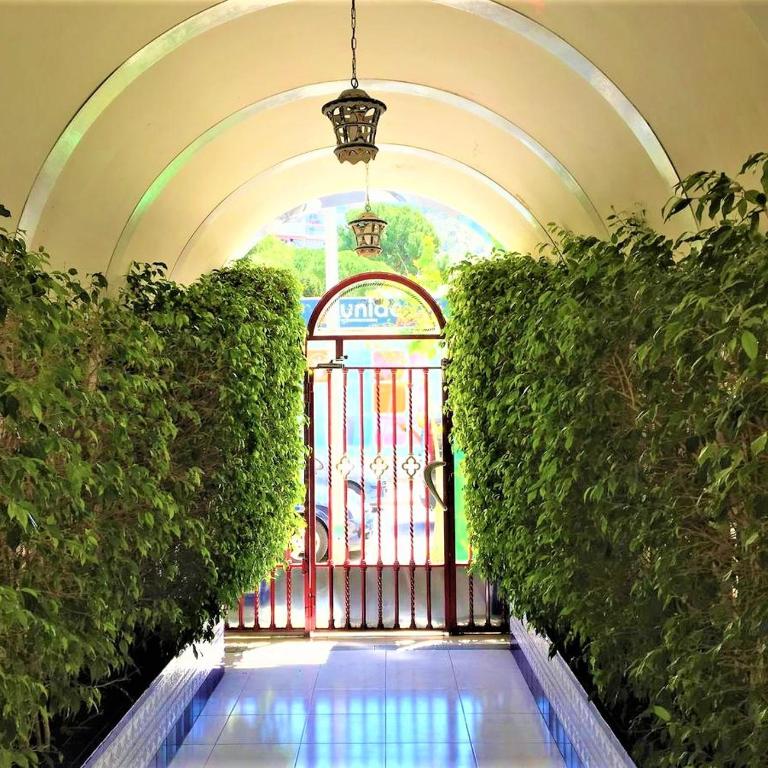 Edificio Cadiz Benidorm - One-Bedroom Apartment - 13
