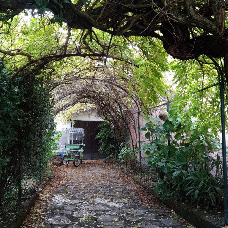 Villa Lago Groundfloor Lakefront Beach Garden Bike&Boat& Scooter Lake Como - Appartamento con 2 Camere da Letto - 33