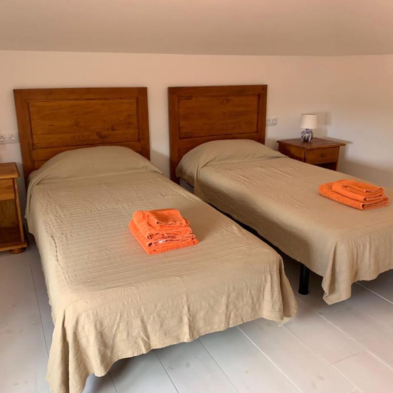 Casa Ilaria Fuerteventura -Wifi free Piscina Olimpionica - Apartamento - 16