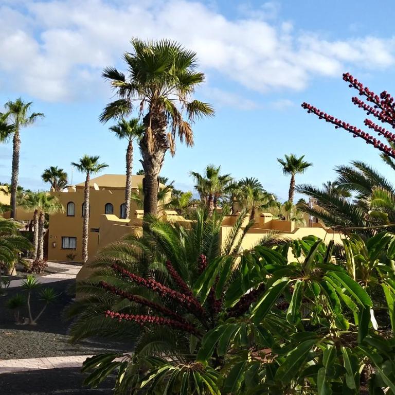 Casa Ilaria Fuerteventura -Wifi free Piscina Olimpionica - Apartamento - 44