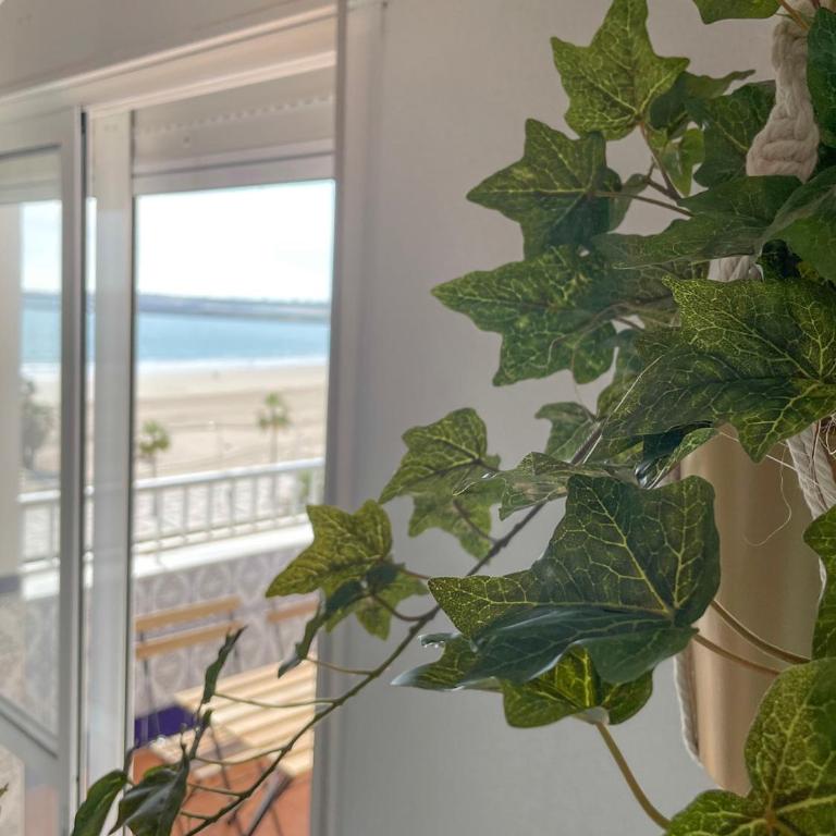 Azvalia - Valparaíso beach apartment - Piscina y parking gratis - Apartamento de 2 dormitorios - 28
