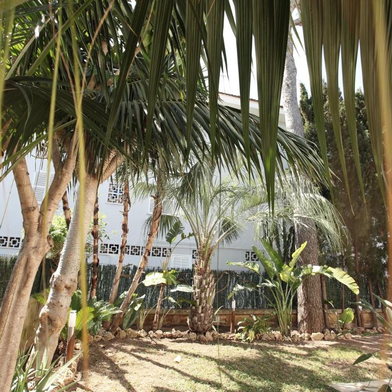 Tropical garden, villa with pool near the beach - Villa - 31