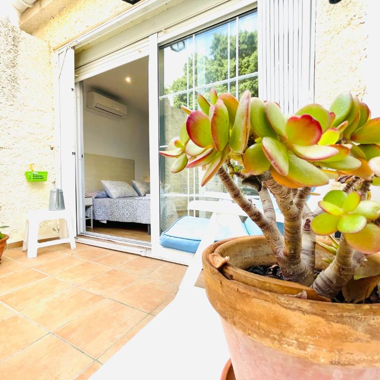 San Antonio - Beach, pool and terrace - Apartamento - Planta baja - 18
