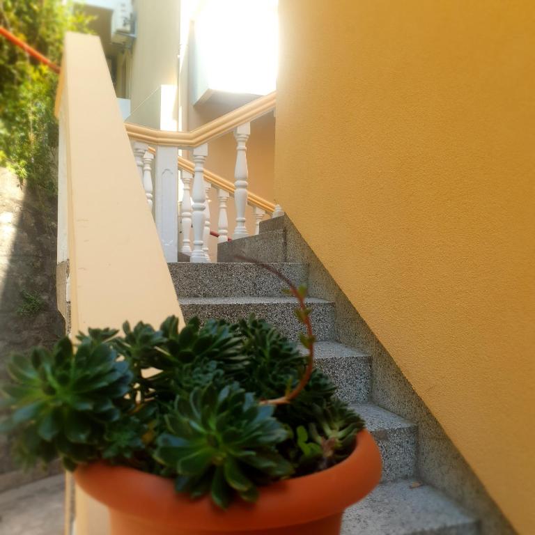 Villa Vujačić - Studio with Terrace - 7