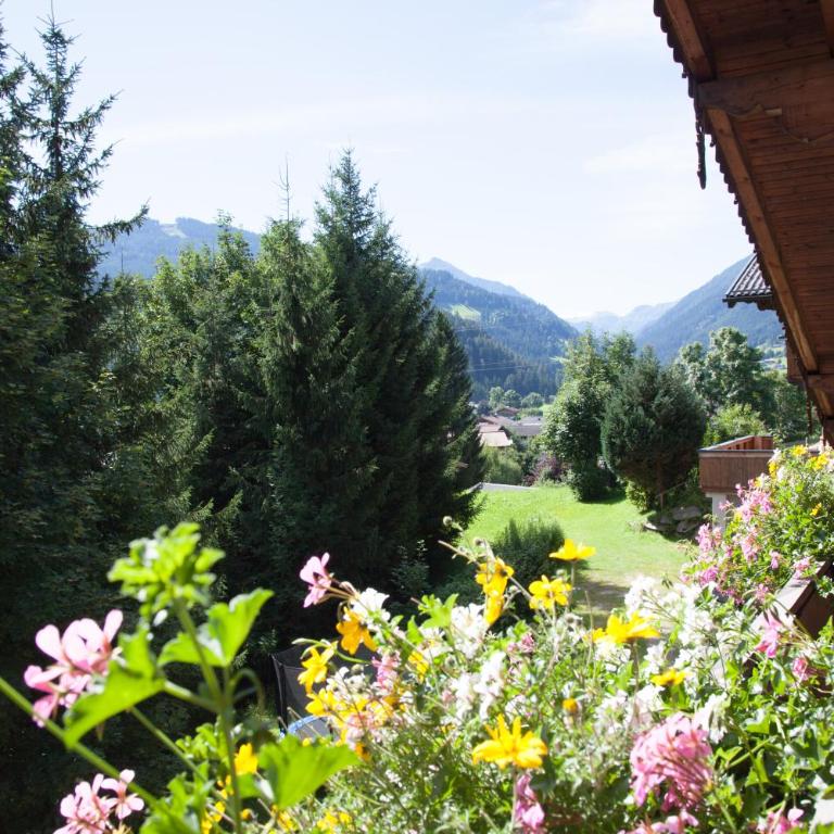 Apartmenthaus Kuchelberg - Appartement 3 Chambres avec Balcon - 5