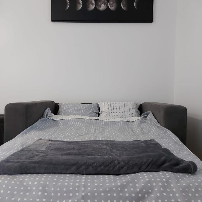 Ivy_zlatibor - Apartman sa 1 Spavaćom Sobom - 5