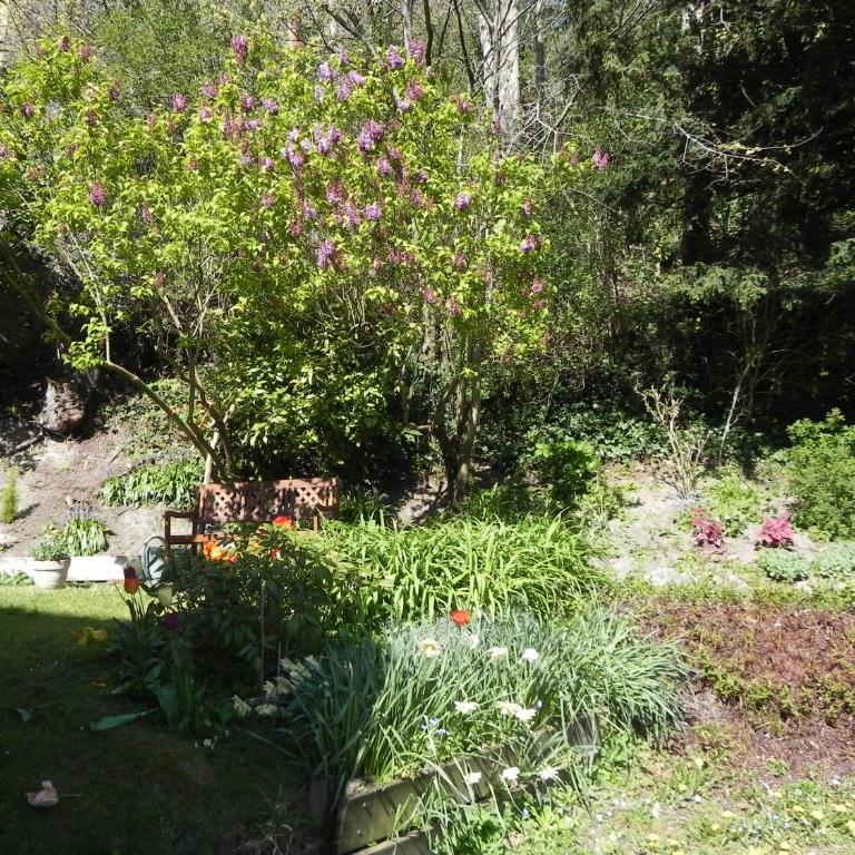 Villa MONIKA - Appartement 1 Chambre - 19