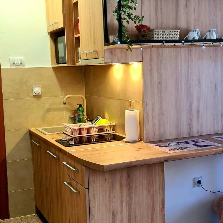 Apartman Viktor&Daria - One-Bedroom Apartment - 27