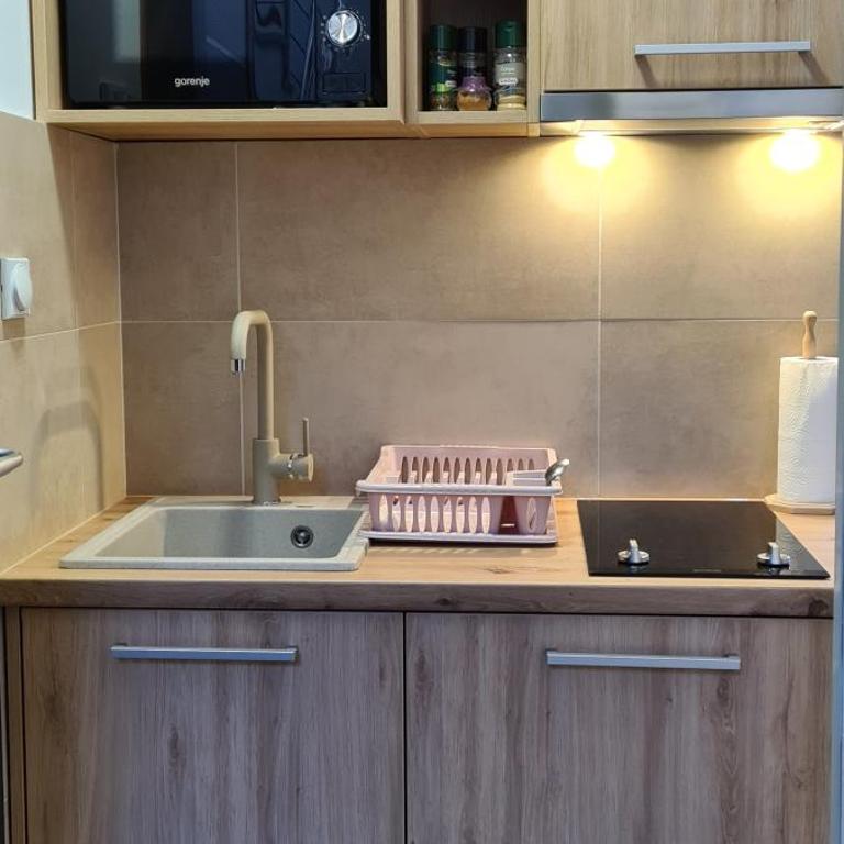 Apartman Viktor&Daria - Apartman sa 1 Spavaćom Sobom - 30