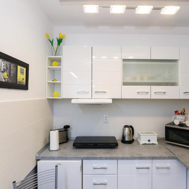 Welcome Center - One-Bedroom Apartment - 21