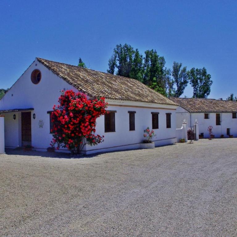Holiday Home Finca Retama - Casa de 2 dormitorios (4 adultos + 1 niño) - 47