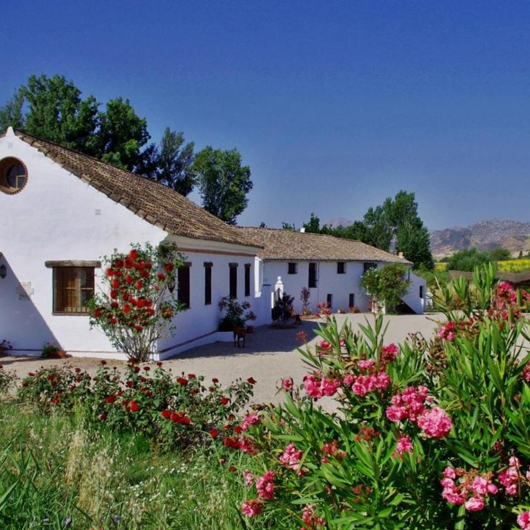 Holiday Home Finca Retama - Casa de 2 dormitorios (4 adultos + 1 niño) - 48