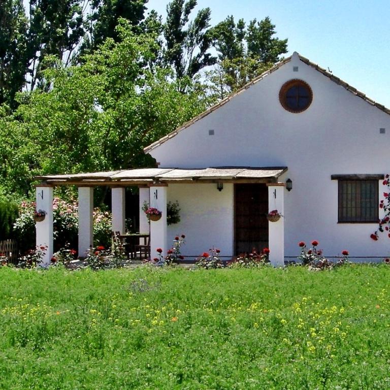 Holiday Home Finca Retama - Casa de 2 dormitorios (4 adultos + 1 niño) - 49