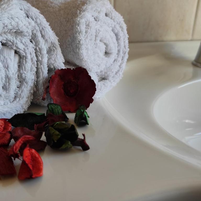 Corte Clocego - Two Double Rooms with Private External Bathroom - 3