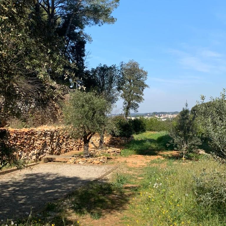 La Farigoule - Sainte-Victoire - Vue exceptionnelle sur Aix-en-Provence - Appartement - Vue sur Jardin - 18