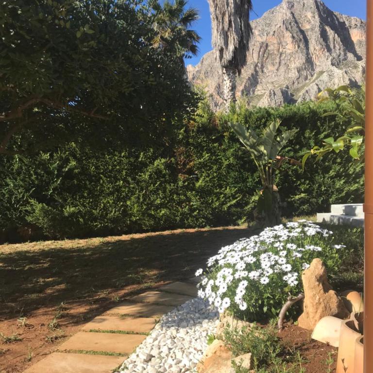 Baia Cofano Home - Appartamento con Vista Mare - 20