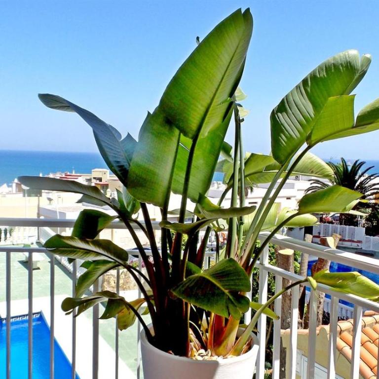 Seaview Retreat Torremolinos City Center, with pool and amazing views BY NAMASTE ELITE - Apartamento de 1 dormitorio - 6