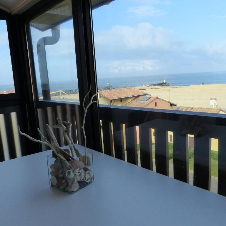 Appartement 4 Personnes Vue Sur L ocean- Residence Les Terrasses De La Dune - Apartamento Estudio - 1