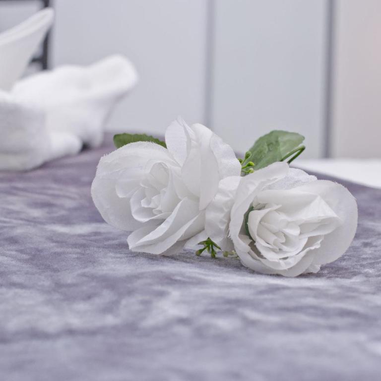 Barcelona City Centre Hostal - Standard Double or Twin Room - 61