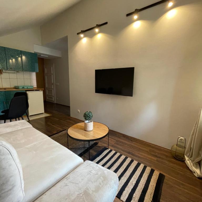 Apartments Micic - Apartman sa 1 Spavaćom Sobom - 11