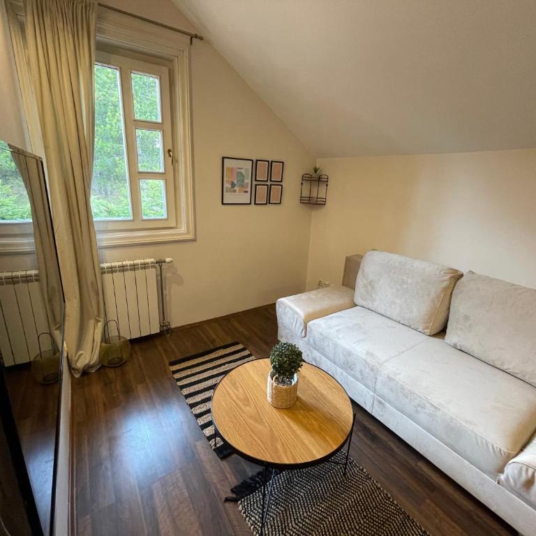 Apartments Micic - Apartman sa 1 Spavaćom Sobom - 8