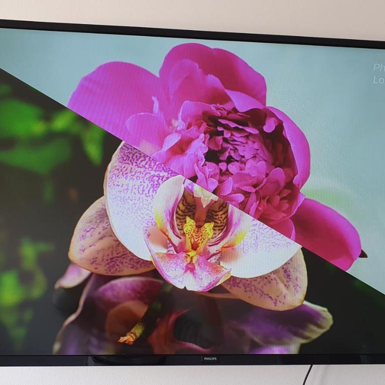 Rosa de los vientos - Cofico - Apartamento de 1 dormitorio - 2