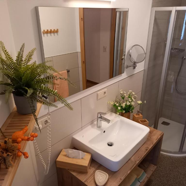 Ferienwohnungen am Lärchenweg - Apartamento - Planta baja - 5