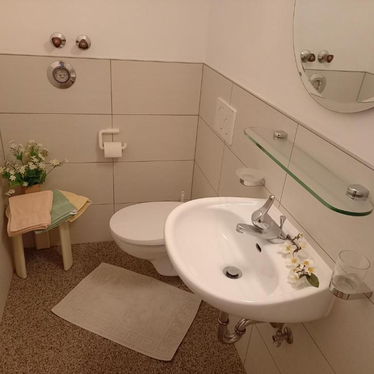 Ferienwohnungen am Lärchenweg - Apartamento - Planta baja - 9